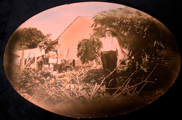 A man holds a beehive near his home in Eureka, Texas — 1890s