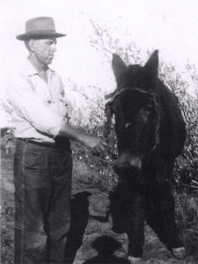 Man with mule in Hill County near Aquilla, Texas