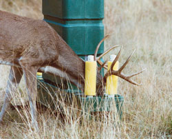 a 4-poster deer feeder