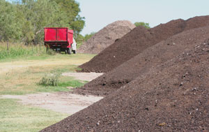 gin trash compost