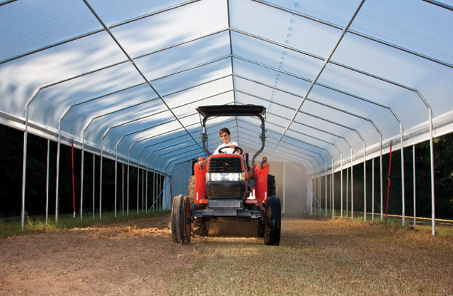 Kathy Stoltzfus in a high-tunnel greenhouse