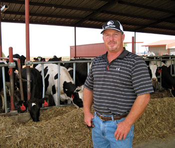 Chuck Krause with dairy cows