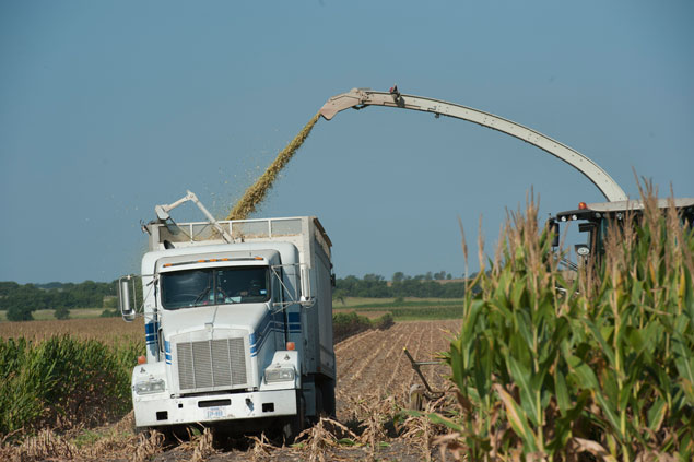 Harvesting corn for silage
