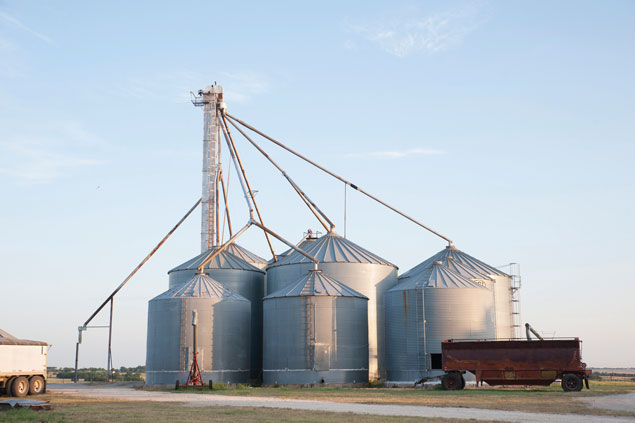 Wheat and oat bins