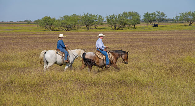 Thorpes on horseback