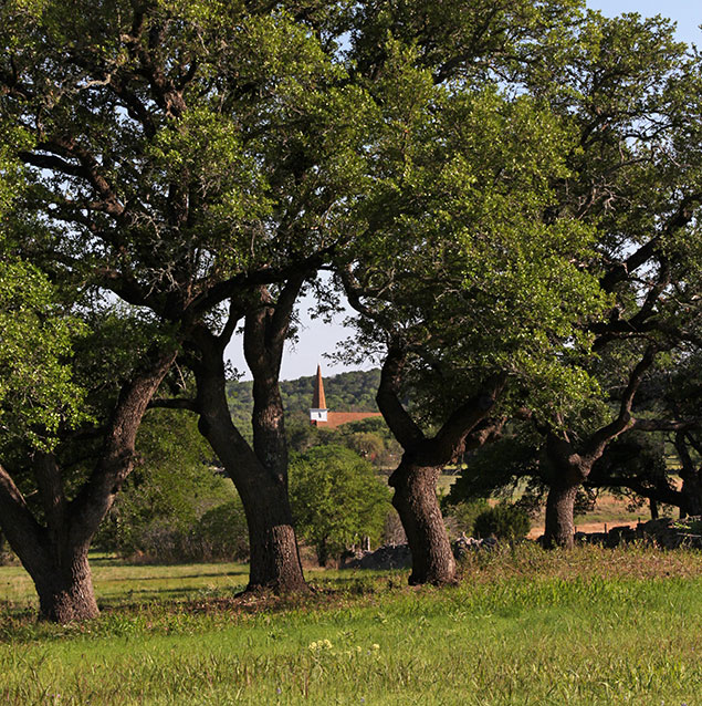 Church and cementary