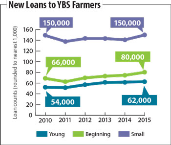 New Loans to YBS Farmers