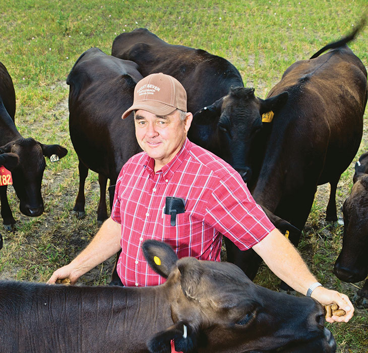 Ralph Lee with his Wagyu herd