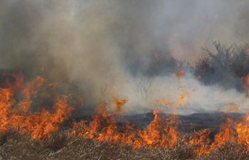 Wildfire threatening a house