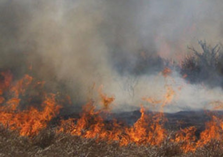 Wildfire threatening a house