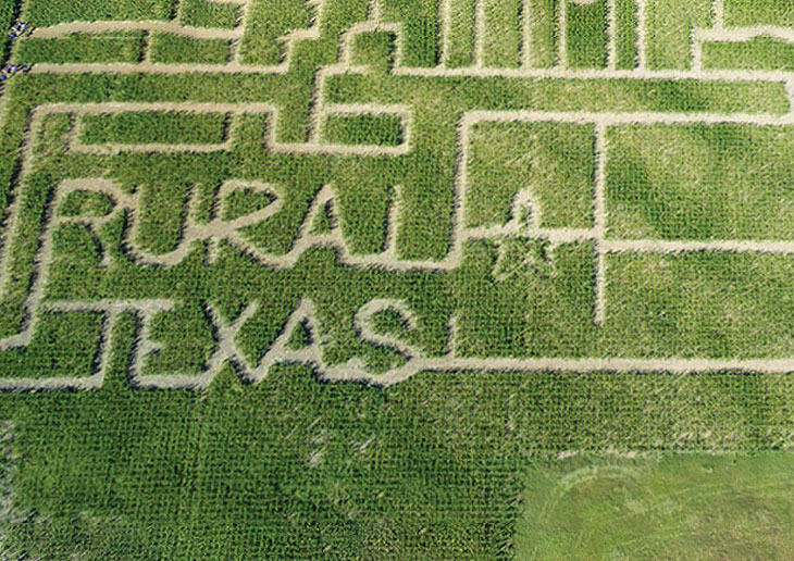 Aerial footage of corn maze