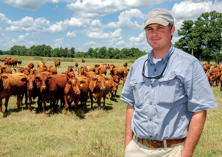 Cullen Kovac and many cows