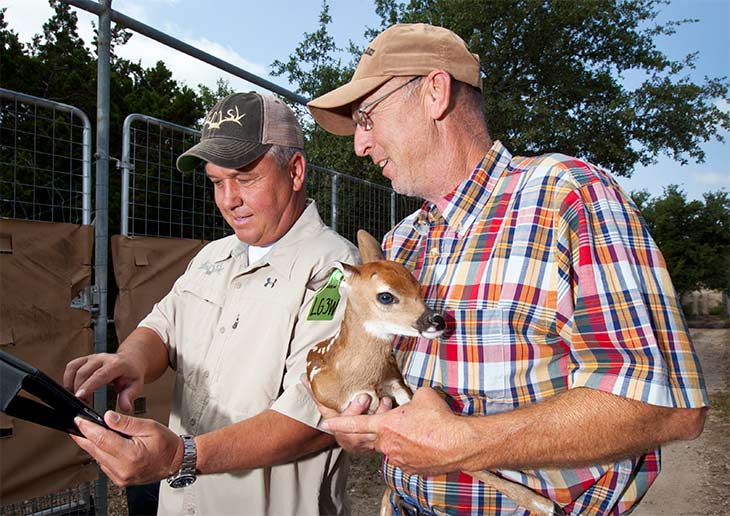Mike Owens and Randy Ranier