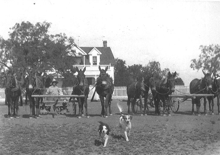 Farm equipment on the Sierschke homestead in Runnels County, Texas - 1920s