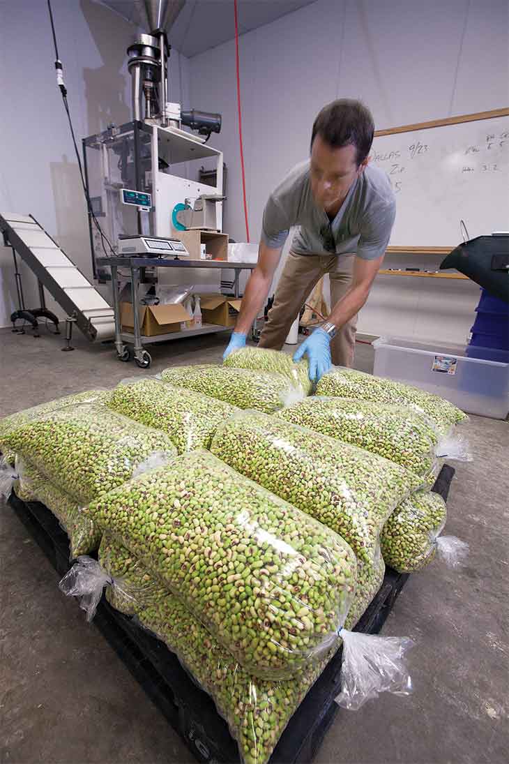 Packaging peas