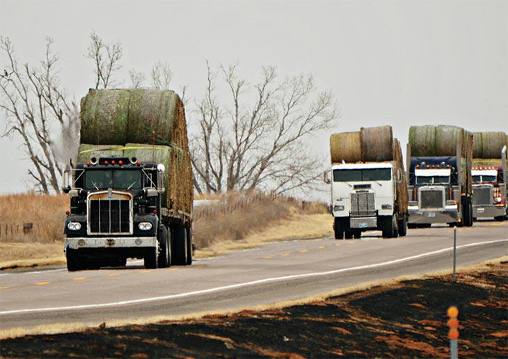 Convoy