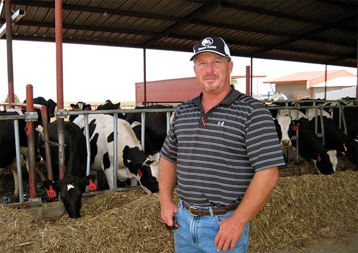 Chuck Krause with dairy cows