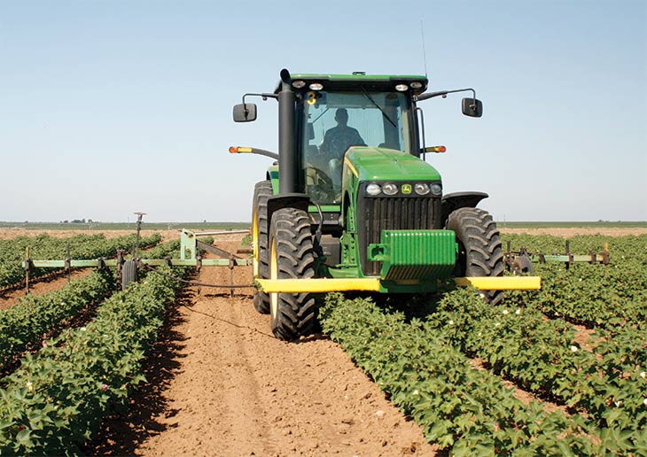 organic cotton field being cultivated