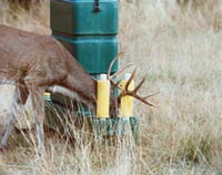 White-tailed deer, tick carriers