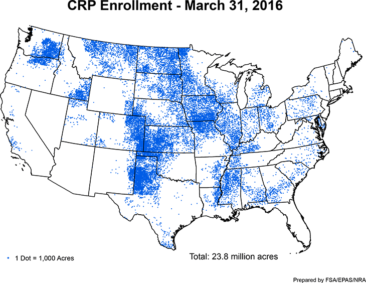 CRP Enrollment