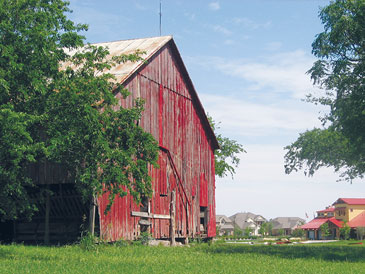Cool-looking old red barn on green grass with trees