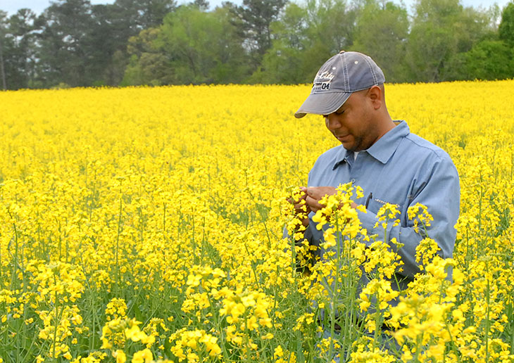 Lamont Bridgeforth in flowers