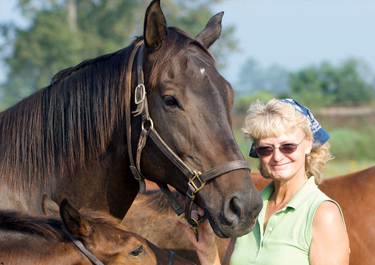 Gillian Taylor with relaxed racehorses