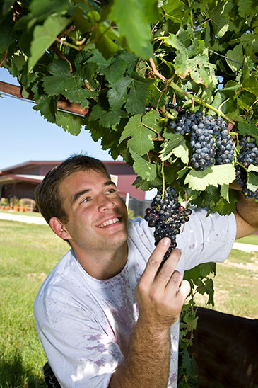 Evan with grapes