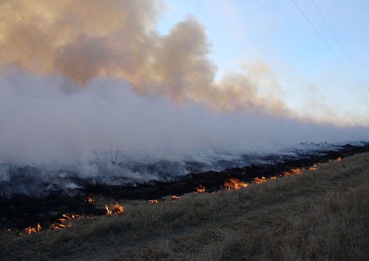 Burning field