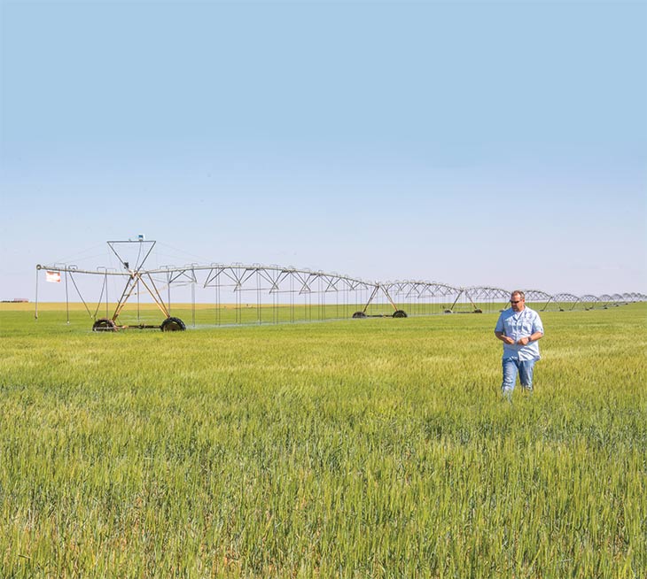 J Rowden in wheat field