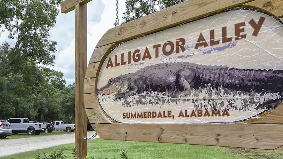 Alligator Alley Video