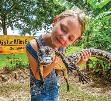 Girl holding small alligator