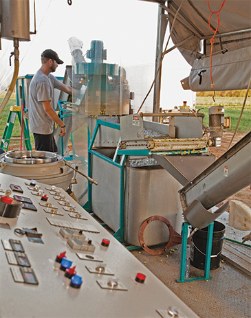 Worker tends machine