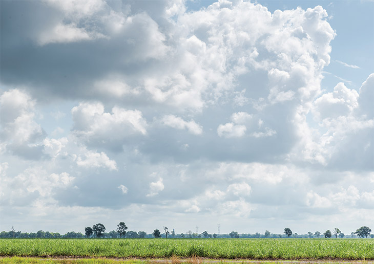 Advice from young or beginning farmers