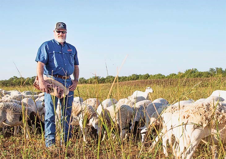 Craig Smith in sheep field