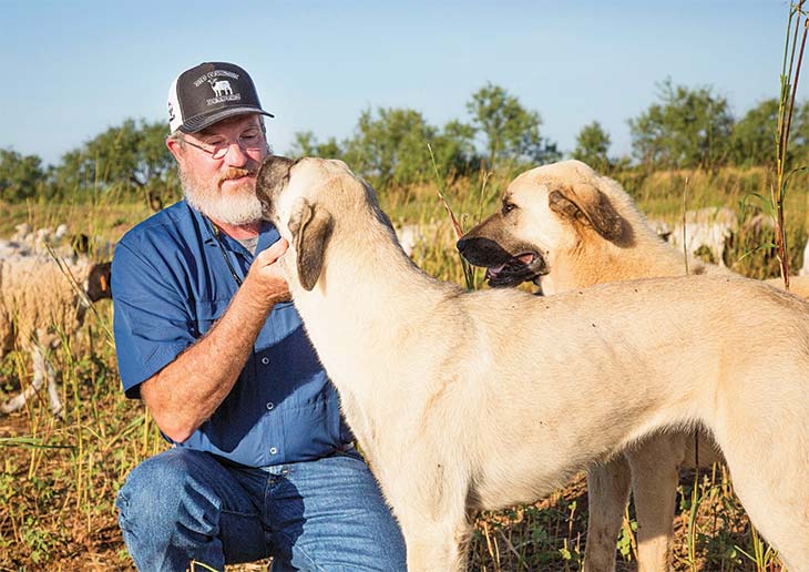 Craig with Kangal sheep dogs