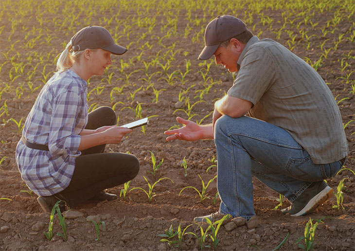 Couple in field