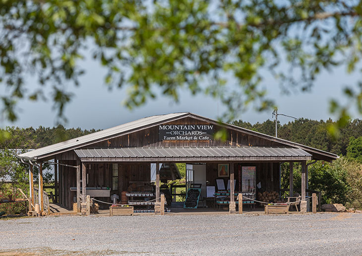 Alabama’s Mountain View Orchards 