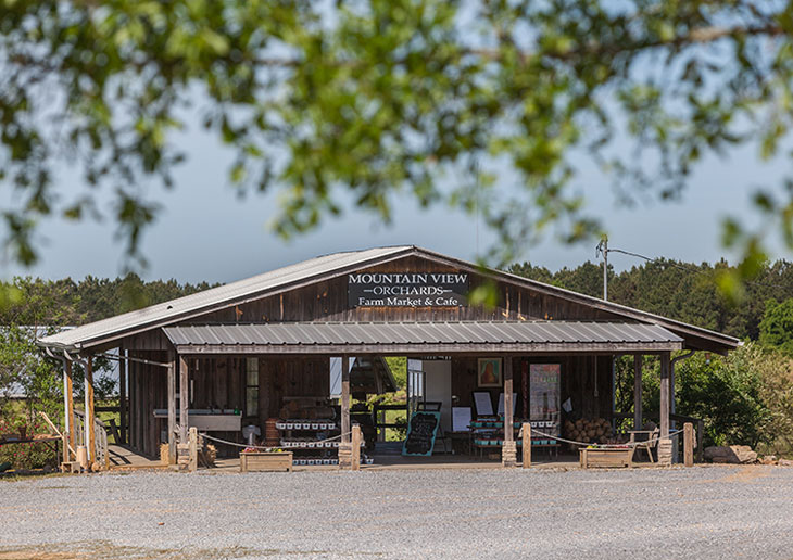 Alabama’s Mountain View Orchards 