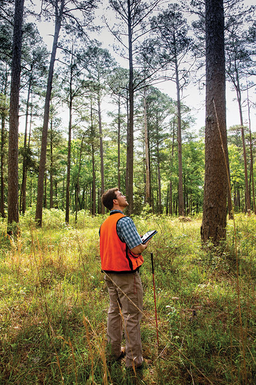 Mississippi Land Bank appraiser Garrett Dismukes 