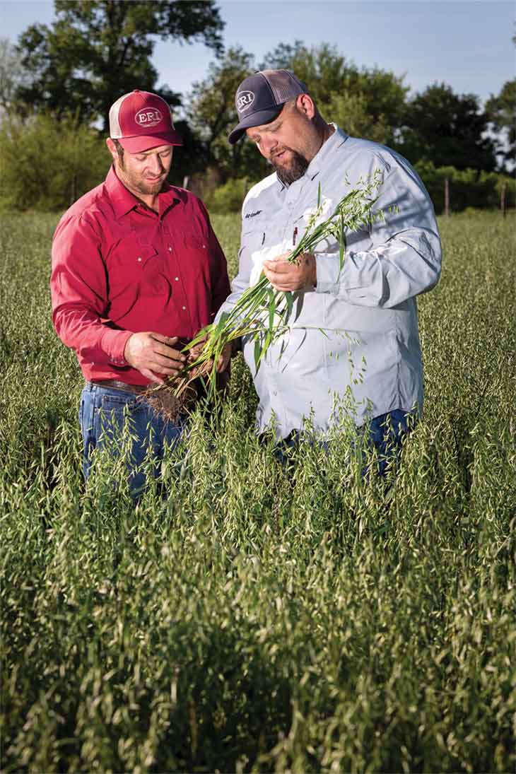 John Evans checks a sample of oats