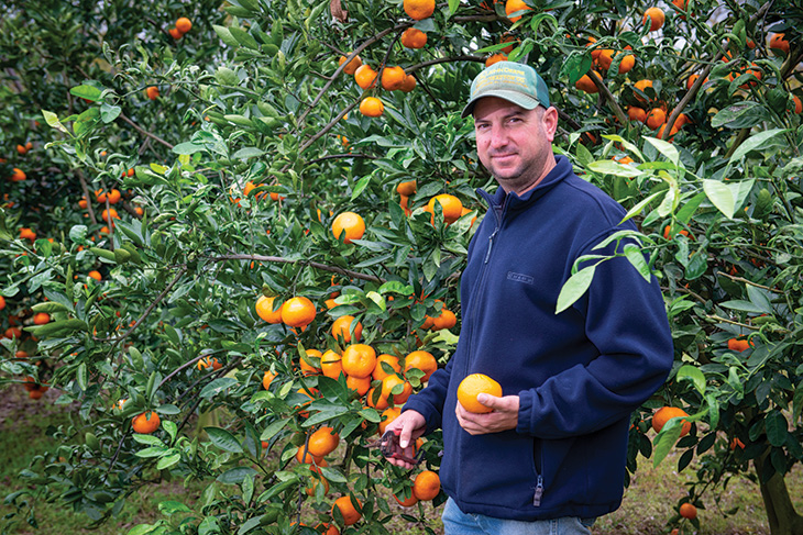 Jeremy Sessions in satsuma orchard