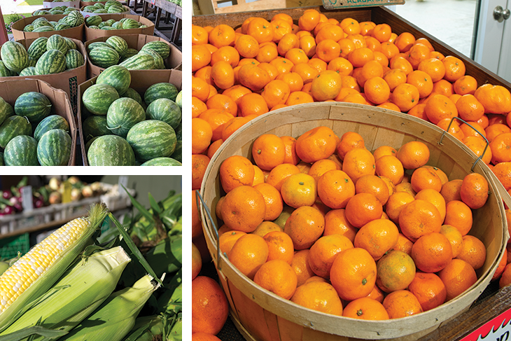 Satsumas, watermelon and corn