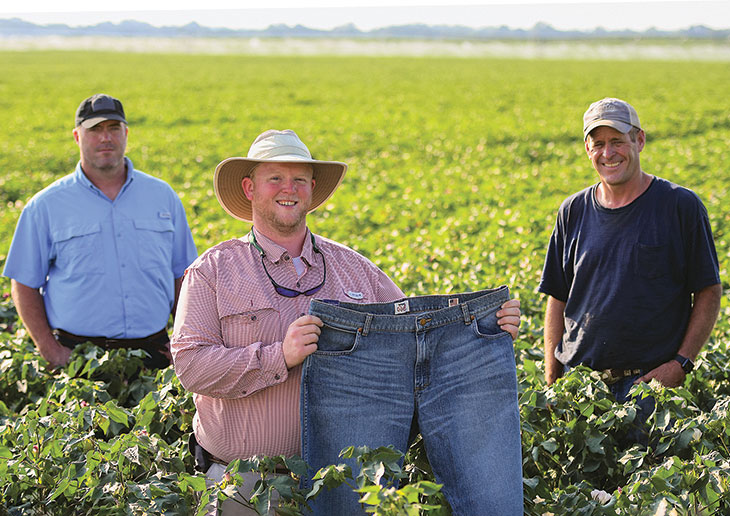 James, Jerry Allen and John Newby stand in a cotton field and show a pair of Wrangler jeans