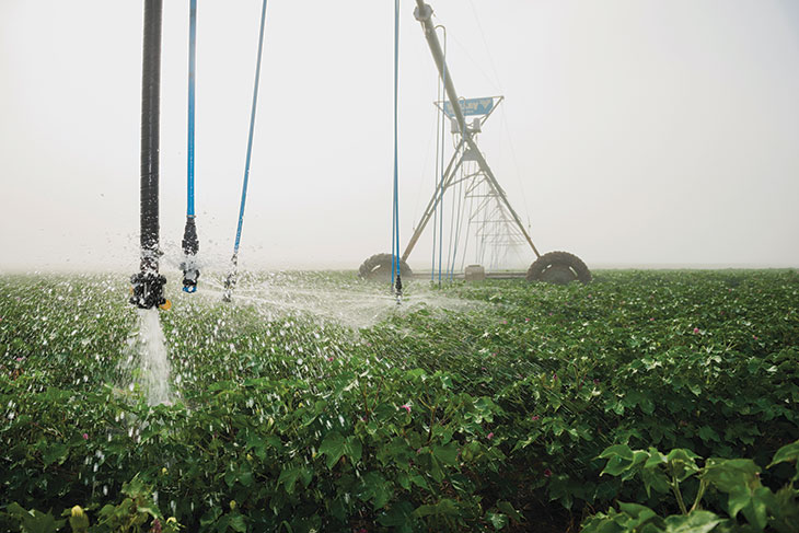 Irrigation nozzle