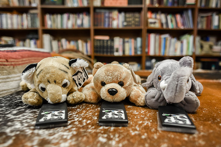 Stuffed animals with audio players