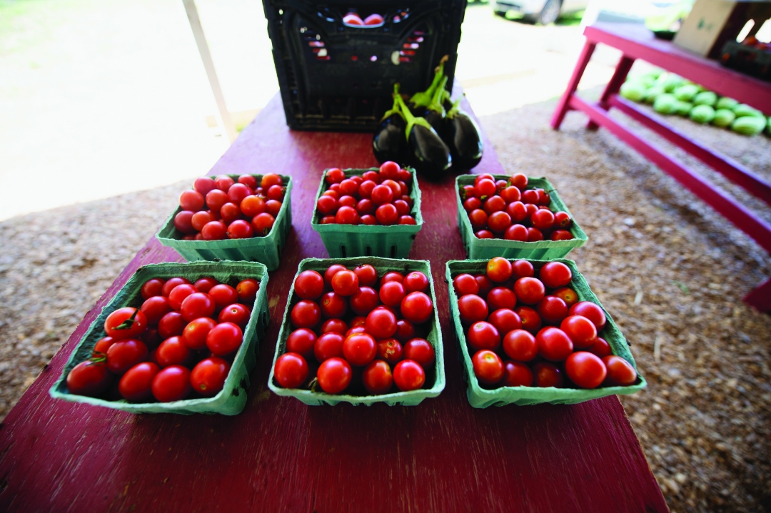 Tomatoes