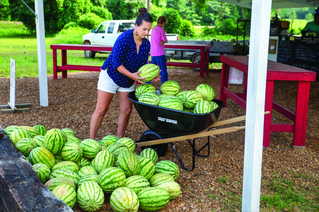 Woman in farm stand