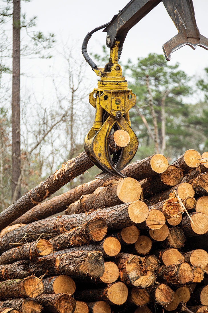 Close-up of equipment loading logs