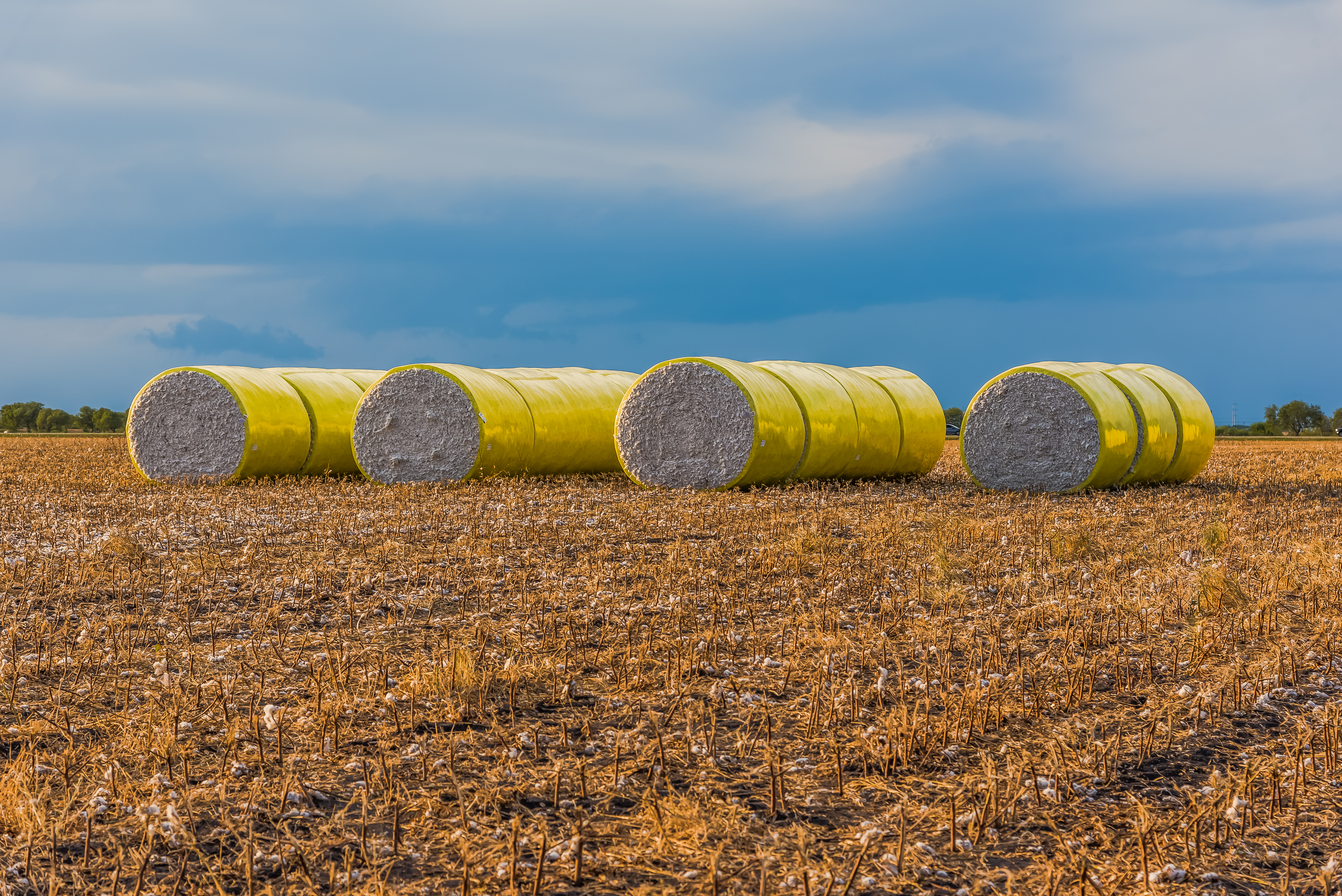 Hay bales